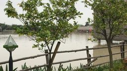TRƯỜNG TH NGUYỄN BÁ NGỌC TỔ CHỨC CHO HỌC SINH ĐI HỌC TẬP TRẢI NGHIỆM TẠI KHU TRANG TRẠI GIÁO DỤC V-ECO