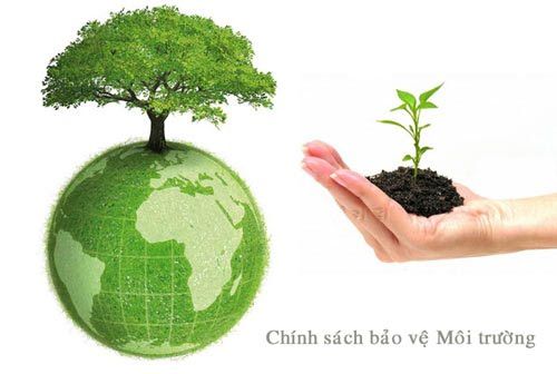 Ngày hội “Giấy đổi cây” năm 2020