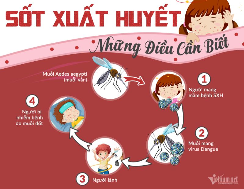 Thông điệp truyền hình phòng chống dịch bệnh Sốt xuất huyết