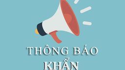 Trường tiểu học Nguyễn Bá Ngọc thông báo về việc chuẩn bị cho học sinh trở lại học tại trường  sau thời gian tạm dừng đến trường để phòng chống dịch bệnh COVID-19