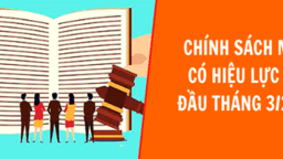 Một số chính sách có hiệu lực từ tháng 3 năm 2022