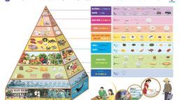 Chế độ dinh dưỡng cho F0 điều trị tại nhà theo hướng dẫn chuẩn của Bộ Y tế