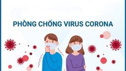 Những việc học sinh cần làm để phòng Covid-19