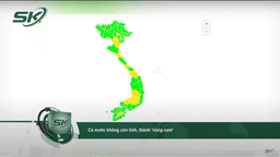 Cả nước không còn tỉnh, thành vùng cam và đỏ, nhiều hoạt động sắp được mở lại