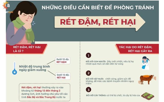 Các tỉnh, thành phố Bắc Bộ và Bắc Trung Bộ chủ động ứng phó với rét đậm, rét hại
