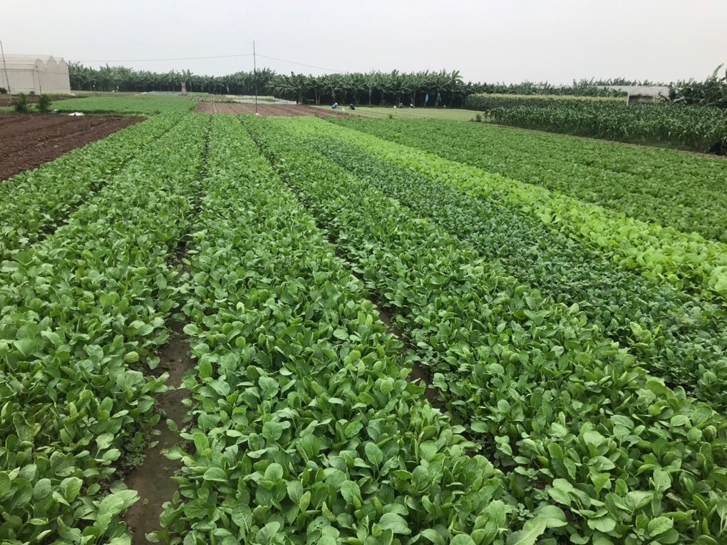 Cha mẹ học sinh trường Tiểu học Nguyễn Bá Ngọc luôn yên tâm với chất lượng bữa ăn bán trú