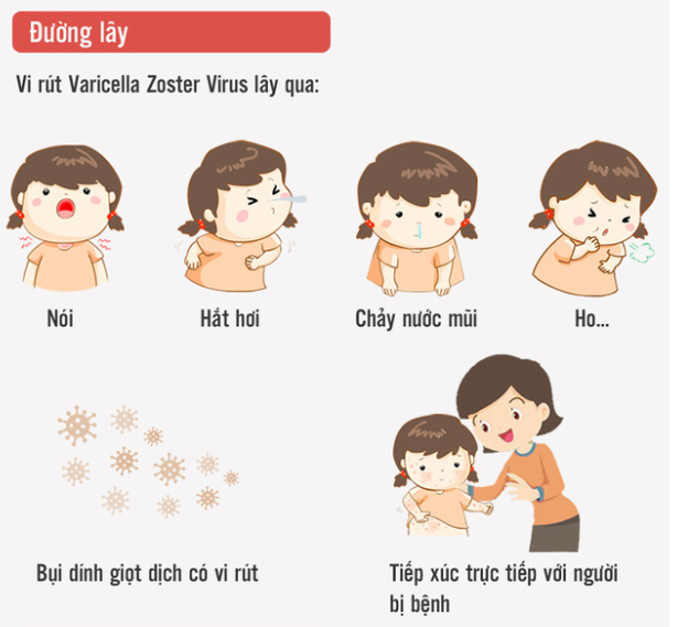 http://ththitranphung.danphuong.edu.vn/upload/29062/20190509/116a31d4382b0ec983fa9715bfe39d32duong_lay_43201921.png