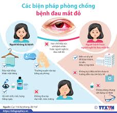 Phòng bệnh đau mắt đỏ – Trường THCS Ngoại ngữ – Trường Đại học Ngoại ngữ –  ĐHQGHN