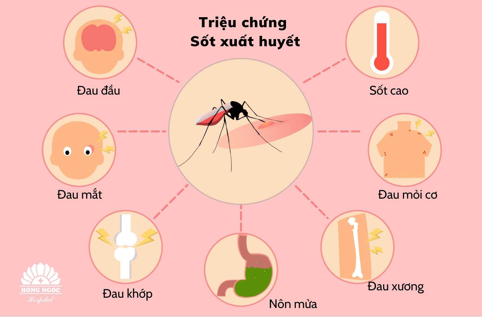 7 quan niệm sai lầm về sốt xuất huyết khiến bệnh dễ trở nặng - Viện Huyết  học - Truyền máu Trung ươngViện Huyết học – Truyền máu Trung ương